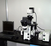 fluorescent inverted phase contrast microscope